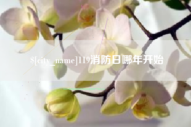 涟源119消防日哪年开始