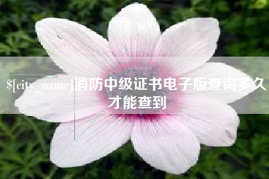 涟源消防中级证书电子版查询多久才能查到