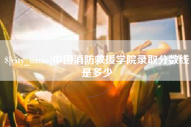 涟源中国消防救援学院录取分数线是多少