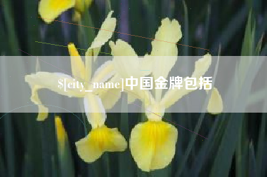 涟源中国金牌包括
