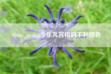 涟源今年九宫格的不利颜色