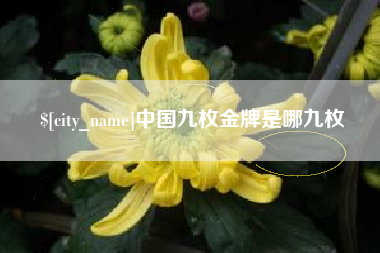 涟源中国九枚金牌是哪九枚