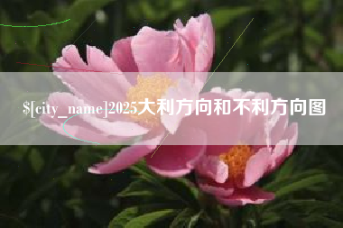 涟源2025大利方向和不利方向图