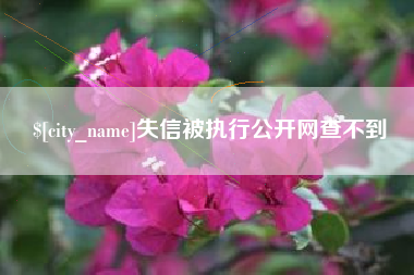 涟源失信被执行公开网查不到