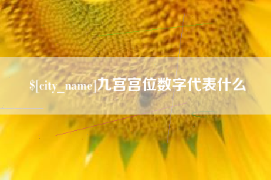 涟源九宫宫位数字代表什么