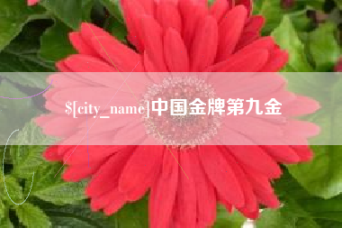 涟源中国金牌第九金