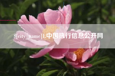 涟源1.中国执行信息公开网