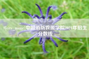 涟源中国消防救援学院2024年招生分数线