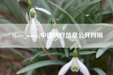 涟源中国执行信息公开网询