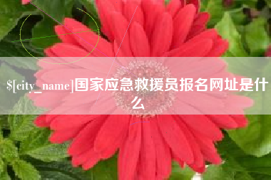 涟源国家应急救援员报名网址是什么