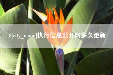 涟源执行信息公开网多久更新