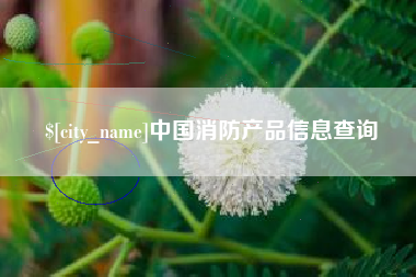 涟源中国消防产品信息查询