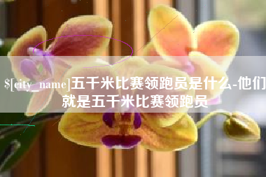 涟源五千米比赛领跑员是什么-他们就是五千米比赛领跑员
