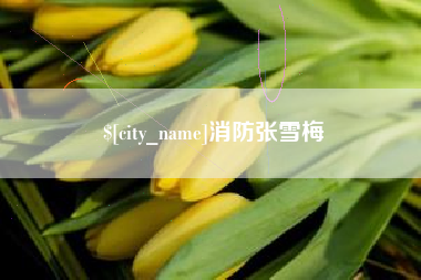 涟源消防张雪梅