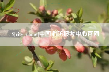 涟源中国消防报考中心官网