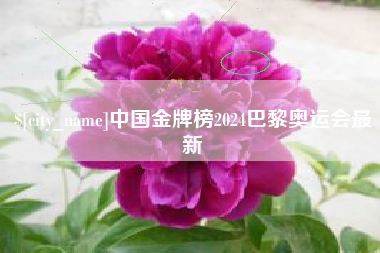 涟源中国金牌榜2024巴黎奥运会最新