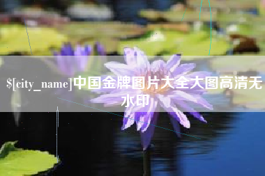 涟源中国金牌图片大全大图高清无水印