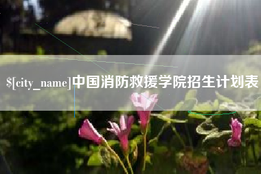 涟源中国消防救援学院招生计划表