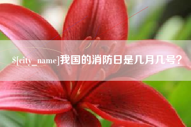 涟源我国的消防日是几月几号？