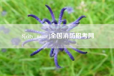 涟源全国消防招考网