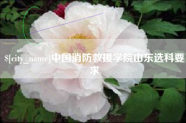 涟源中国消防救援学院山东选科要求