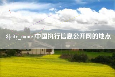 涟源中国执行信息公开网的地点