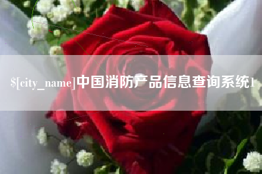 涟源中国消防产品信息查询系统1