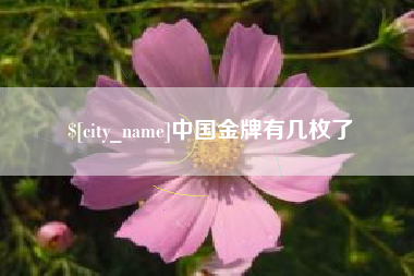涟源中国金牌有几枚了