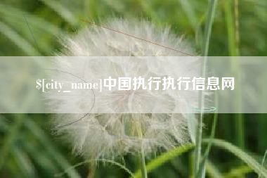 涟源中国执行执行信息网