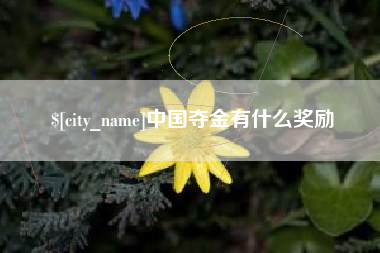 涟源中国夺金有什么奖励