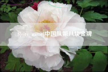 涟源中国队第八块金牌