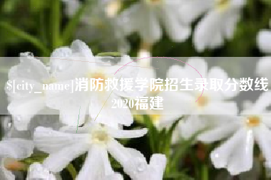 涟源消防救援学院招生录取分数线2020福建