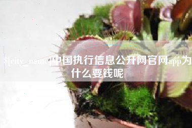 涟源中国执行信息公开网官网app为什么要钱呢