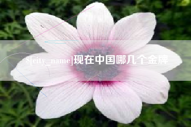 涟源现在中国哪几个金牌