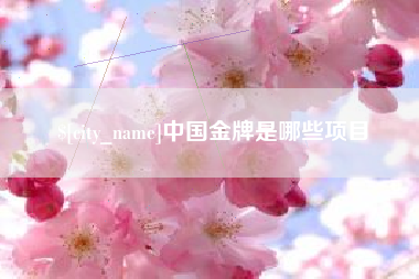 涟源中国金牌是哪些项目