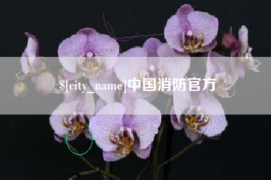 涟源中国消防官方