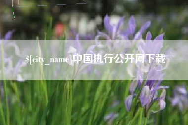 涟源中国执行公开网下载