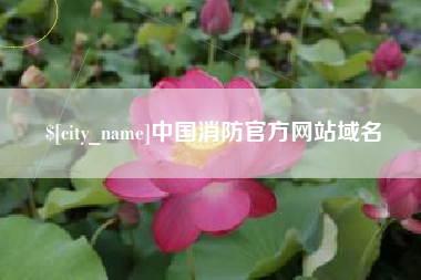 涟源中国消防官方网站域名