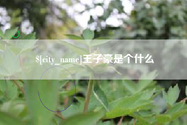 涟源王子豪是个什么