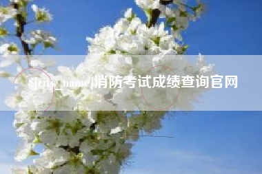 涟源消防考试成绩查询官网