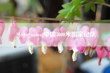 涟源中国5000米国家记录