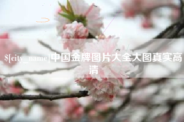 涟源中国金牌图片大全大图真实高清