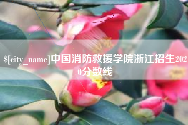 涟源中国消防救援学院浙江招生2020分数线