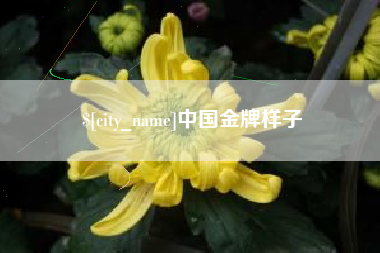 涟源中国金牌样子