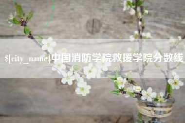 涟源中国消防学院救援学院分数线