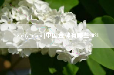 涟源中国金牌有哪些2021