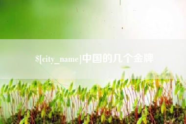 涟源中国的几个金牌