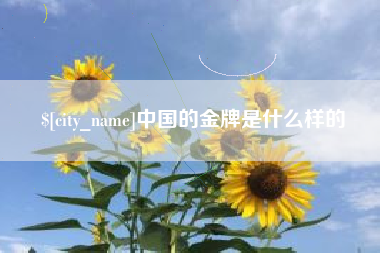 涟源中国的金牌是什么样的