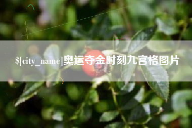 涟源奥运夺金时刻九宫格图片