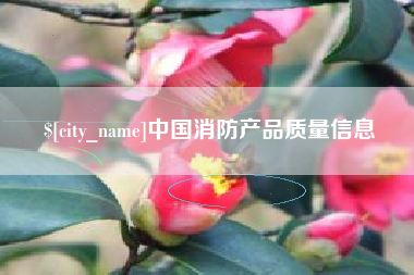 涟源中国消防产品质量信息